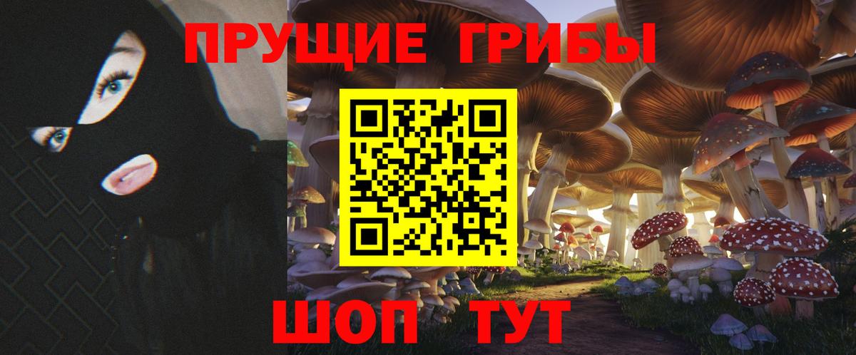 что такое   Галлюциногенные грибы мицелий  Вход с VPN  Псилоцибиновые грибы MAGIC MUSHROOMS  Чистополь 